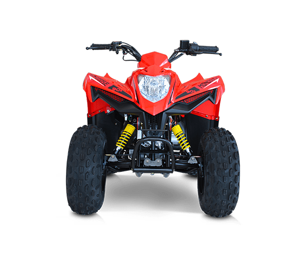 mongoose-1