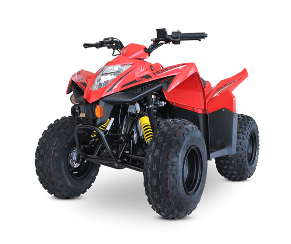 mongoose-2