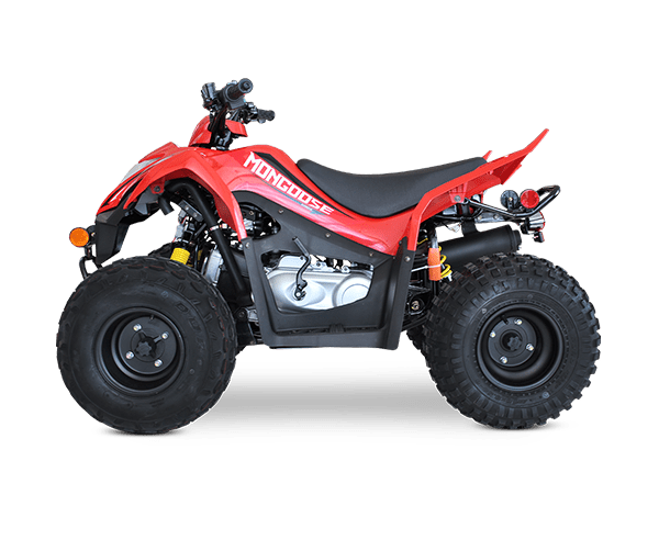 mongoose-3(1)